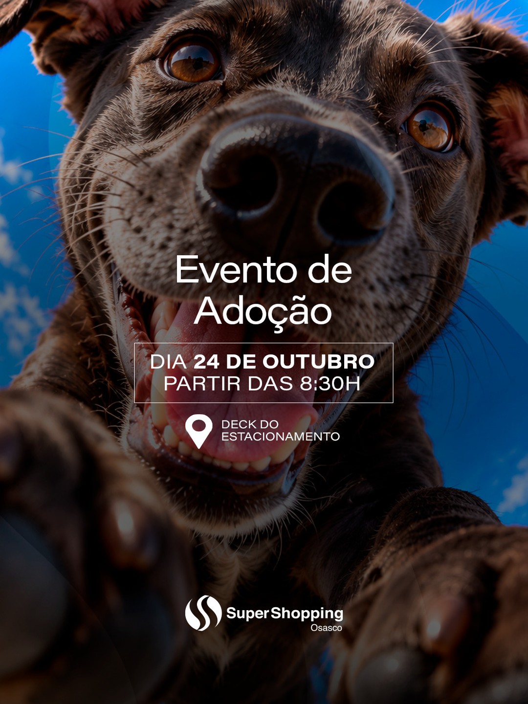 Evento de Adoção