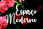 Espaço Moderno - Moda feminina