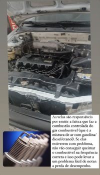 Foto 54