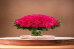Foto 33