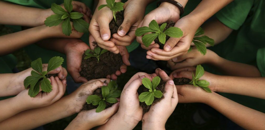 Osasco_1566848857_[19]