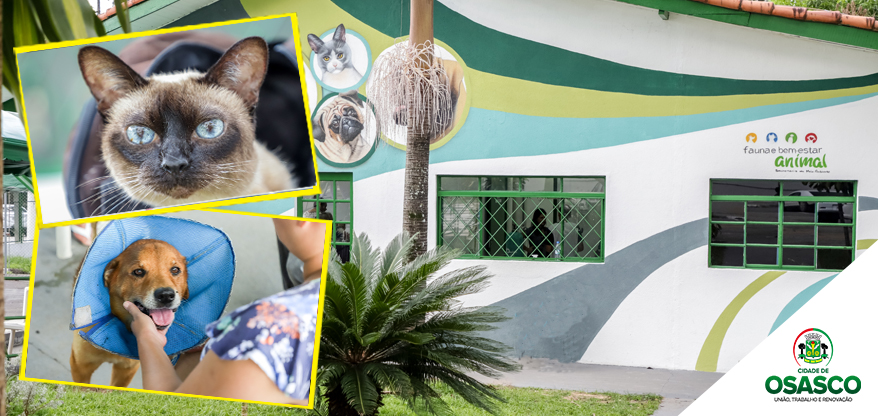 Osasco_1553604524_[19]