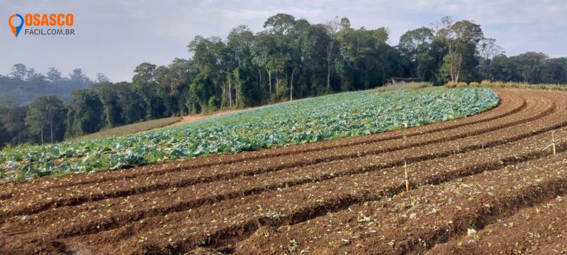 Foto do Imóvel 18