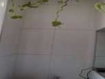 Foto do Imvel 28