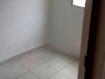 Foto Destaque