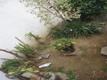 Foto do Imóvel 18