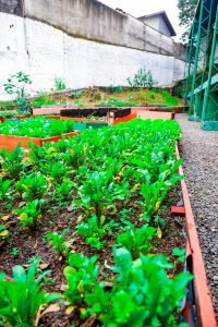 Prefeitura entrega revitalização do Centro Esportivo Thomas Sacho