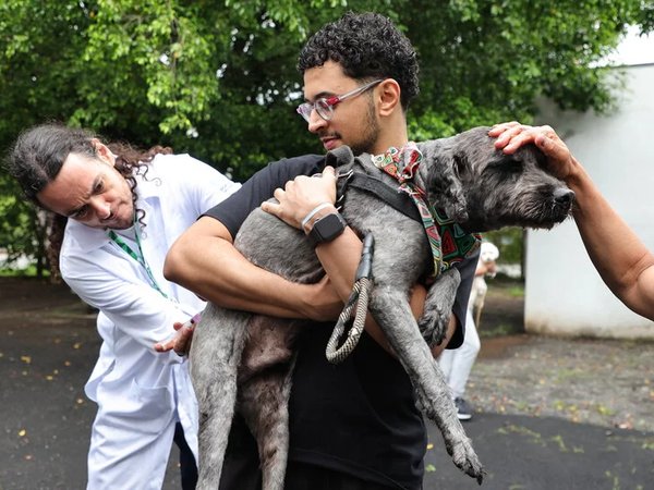 Tutores aproveitam o sábado para vacinar seus pets contra a raiva