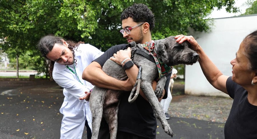 Tutores aproveitam o sábado para vacinar seus pets contra a raiva